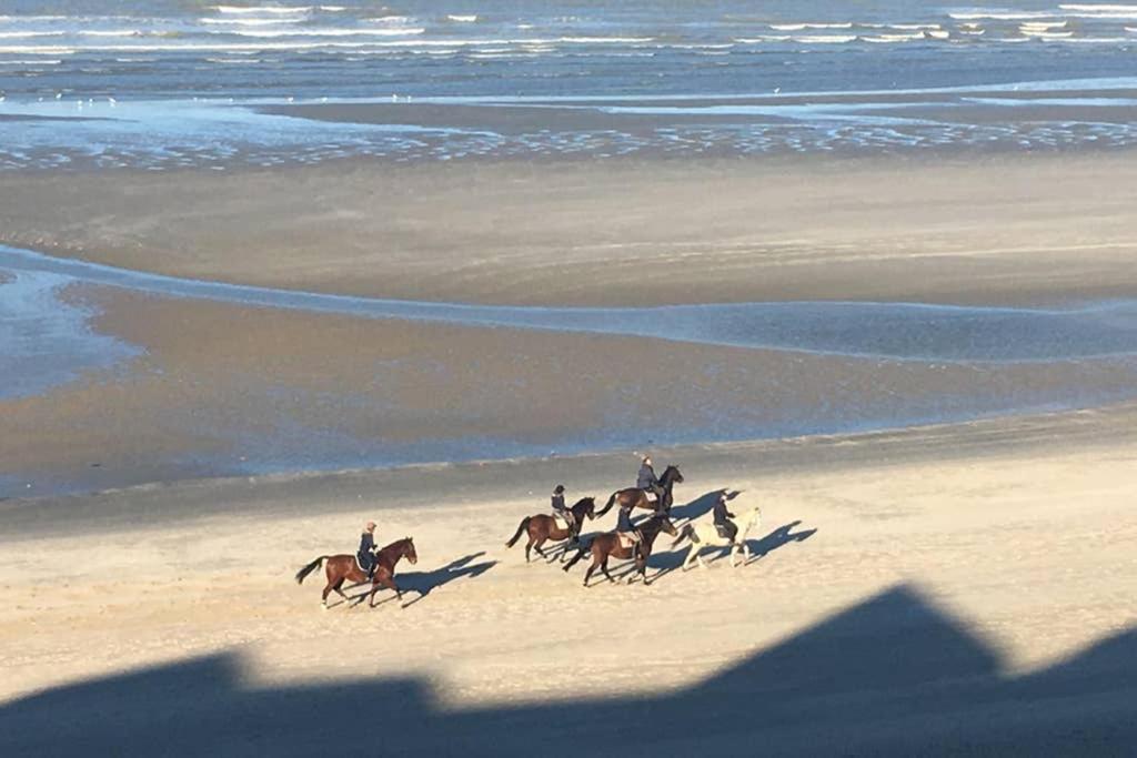 Entre dunes et mer Bray-Dunes Eksteriør bilde