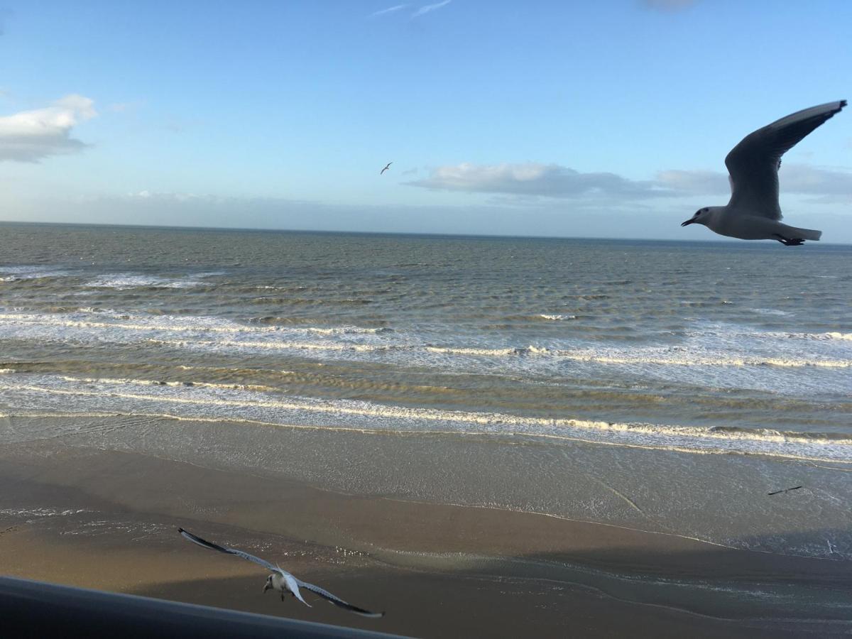 Entre dunes et mer Bray-Dunes Eksteriør bilde