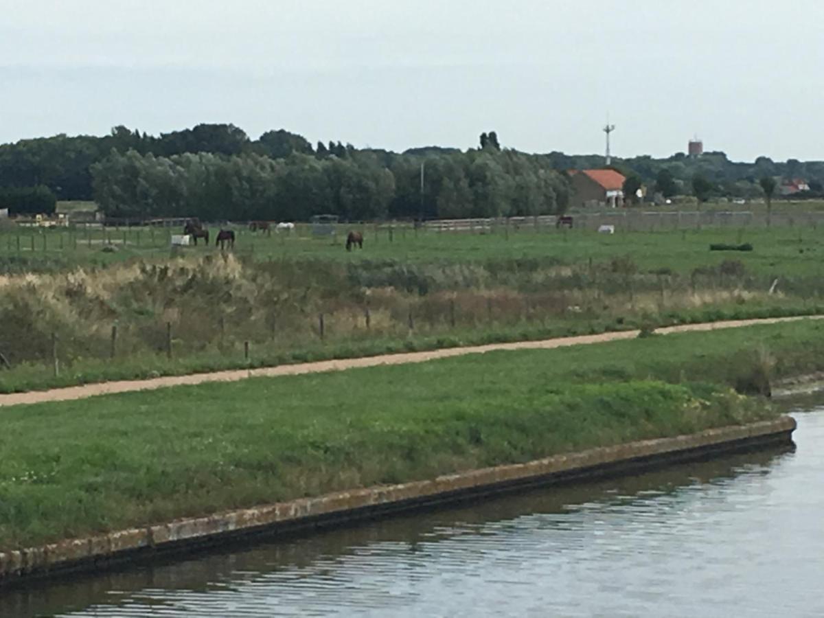 Entre dunes et mer Bray-Dunes Eksteriør bilde