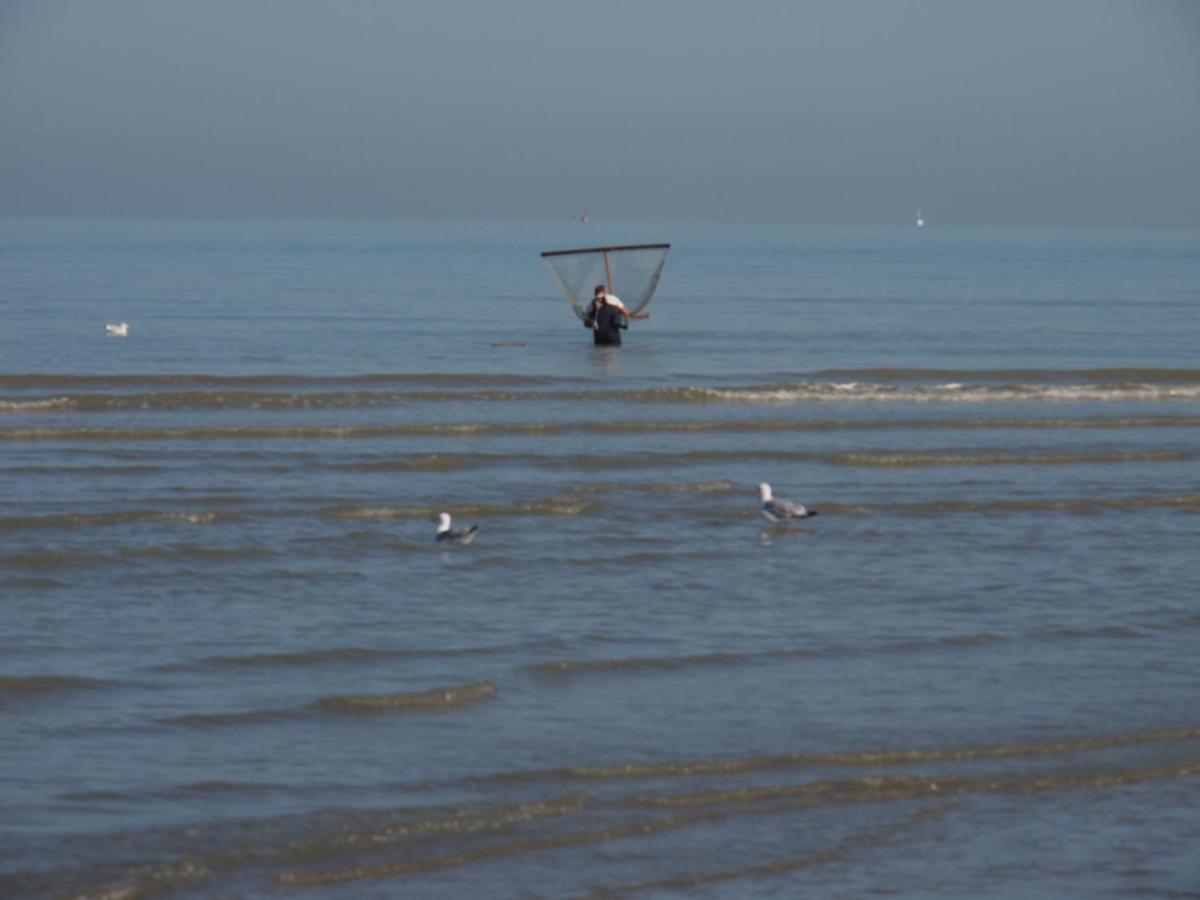 Entre dunes et mer Bray-Dunes Eksteriør bilde