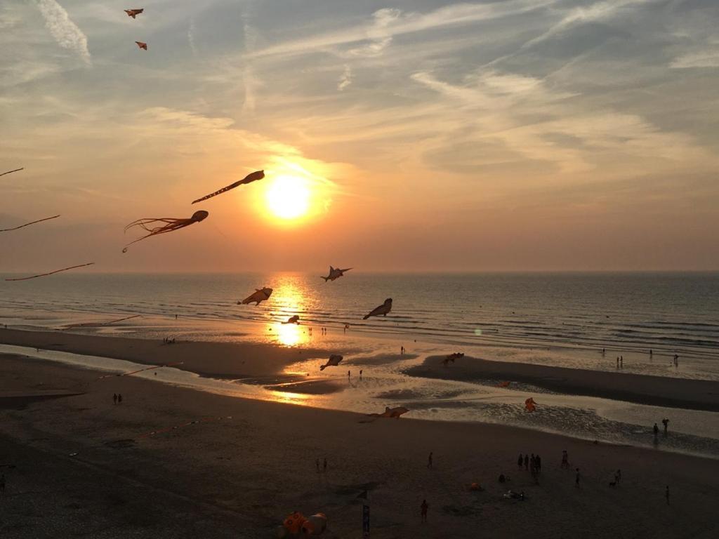 Entre dunes et mer Bray-Dunes Eksteriør bilde